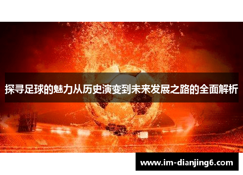 探寻足球的魅力从历史演变到未来发展之路的全面解析
