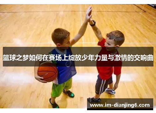 篮球之梦如何在赛场上绽放少年力量与激情的交响曲