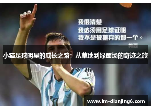 小猫足球明星的成长之路：从草地到绿茵场的奇迹之旅