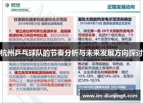 杭州乒乓球队的节奏分析与未来发展方向探讨