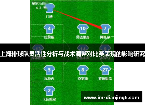 上海排球队灵活性分析与战术调整对比赛表现的影响研究